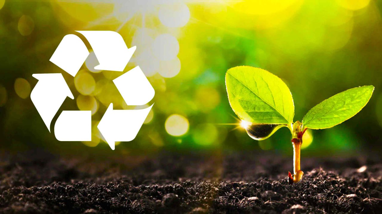 Responsabilitate ecologică Master LUX